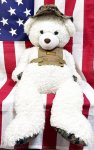 画像1: 米軍放出品 USMC 海兵隊 ミリタリー オードナンスプレキャリ着用　ホワイトBIGベアー　 (1)