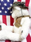 画像2: 米軍放出品 USMC 海兵隊 ミリタリー オードナンスプレキャリ着用　ホワイトBIGベアー　 (2)