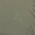 画像2: 米軍実物 ELITE ISSUE タクティカル　Tシャツ　MEDIUM (2)