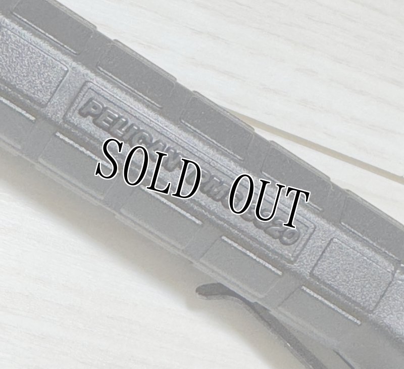 画像4: 米軍実物 PELICAN ペリカン PM6 3320  (4)