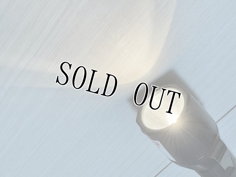 画像5: 米軍実物 PELICAN ペリカン PM6 3320  (5)