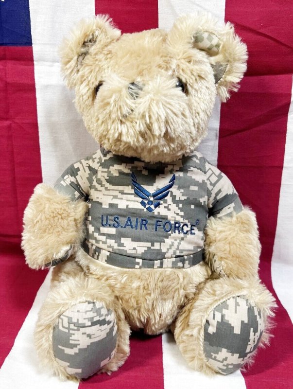 画像1: 米軍放出品 U,S,AIR,FORCE USAF ミリタリーベアー　 (1)
