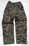画像1: 海兵隊実物 USMC　ウッドマーパットパンツ　SMALL-SHORT (1)