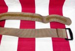 画像2: 米軍実物　BDU　ベルト　コヨーテブラウン　108cm　 (2)