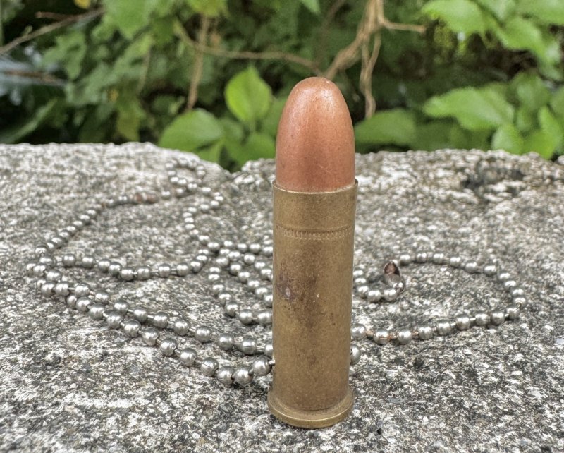 画像1: 米軍実物　アクセサリー弾　ネックレス (1)