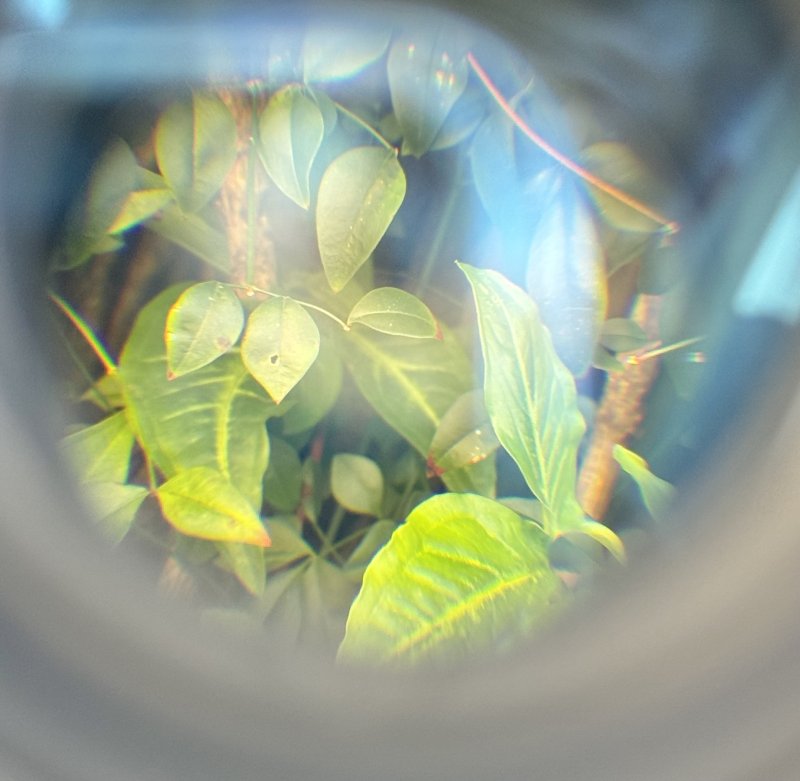 画像6: 米軍実物 ナイトビジョン AN-PVS-7/14 3X MAGNIFIER マグニファイア (6)