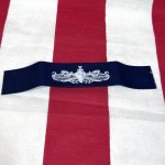 画像1: 米軍実物　U.S.NAVY　カバーオールワッペン　SURFACE WARFARE ENL (1)