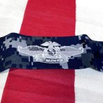 画像2: 米軍実物　U.S.NAVY　Fleet Marine Force ワッペン  (2)
