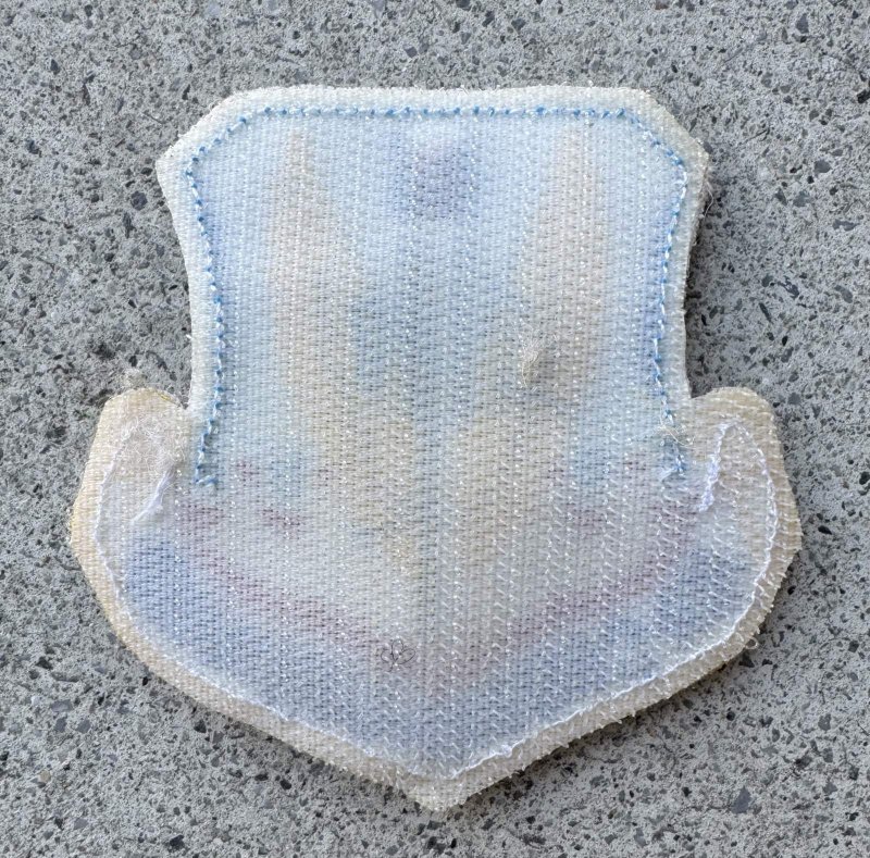 画像2: 米軍実物 アメリカ空軍 航空戦闘軍団 ACC フルカラー パッチ ワッペン  (2)