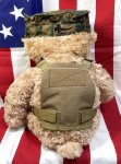 画像3: 米軍放出品 USMC 海兵隊 ミリタリー オードナンスプレキャリ着用ベアー　 (3)