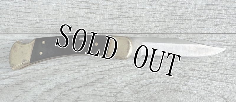 画像1: 米軍放出品 BUCK(バック)フォールディングハンター 110  (1)