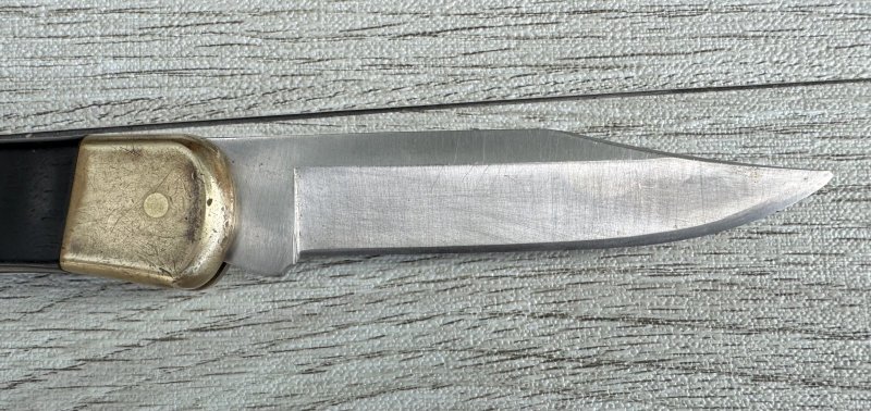 画像2: 米軍放出品 BUCK(バック)フォールディングハンター 110  (2)