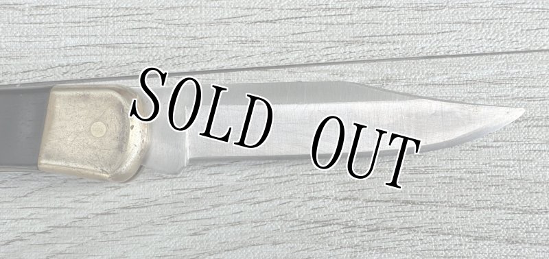 画像2: 米軍放出品 BUCK(バック)フォールディングハンター 110  (2)