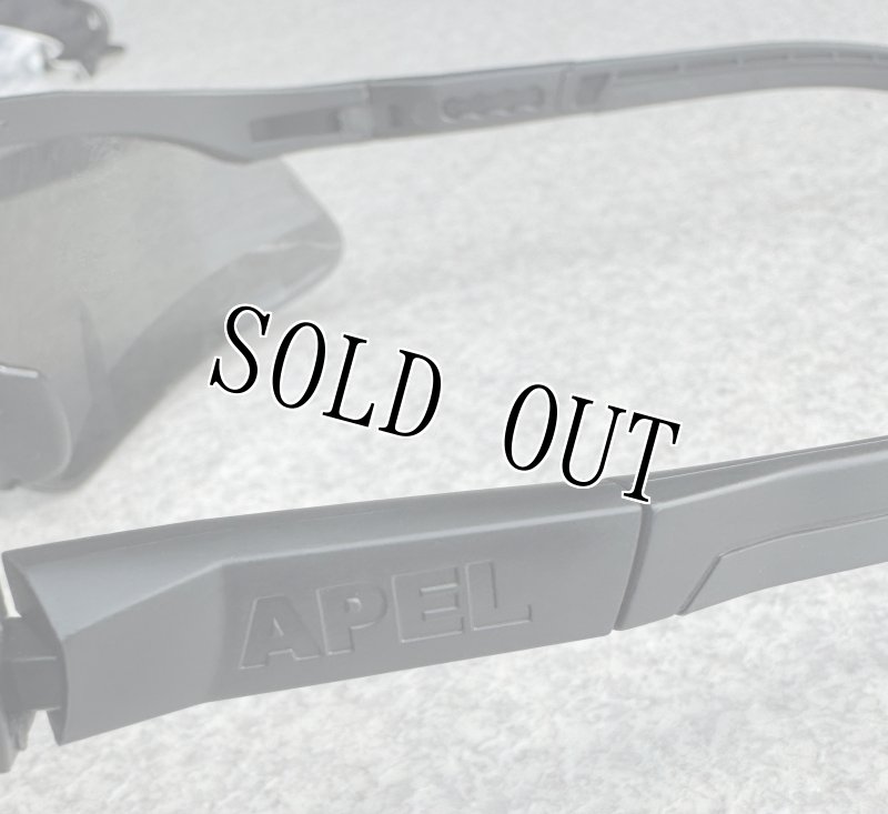 画像9: 米陸軍実物 sawfly U.S.Military Eyewear System REVISION APELサングラス (9)