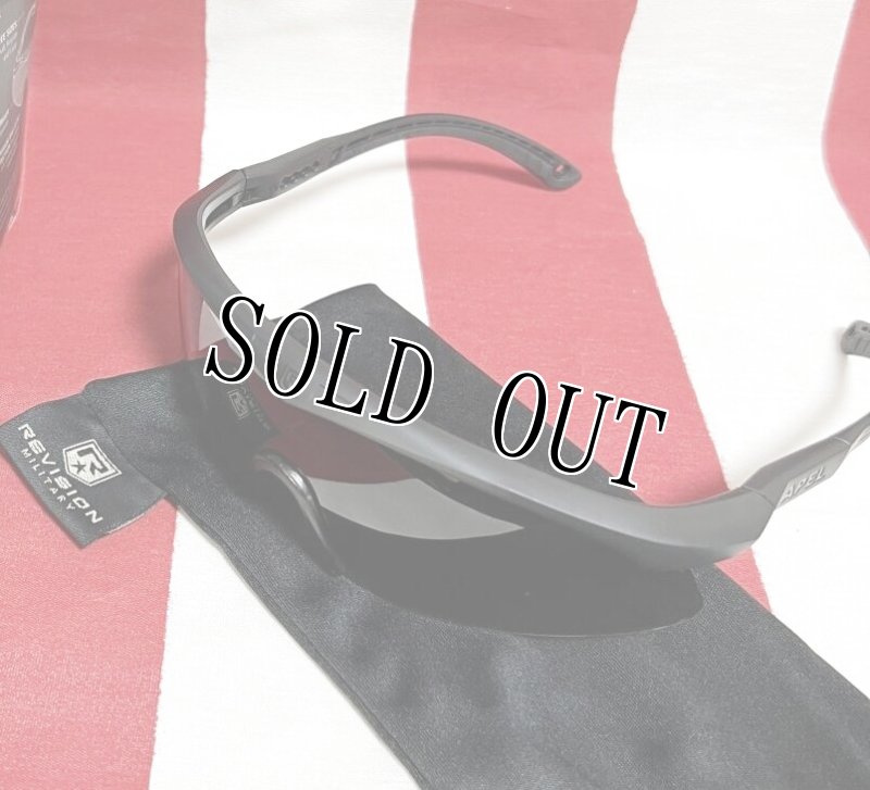 画像5: 米陸軍実物 REVISION APEL Sawfly U.S.Military APEL KIT サングラス LARGE (5)