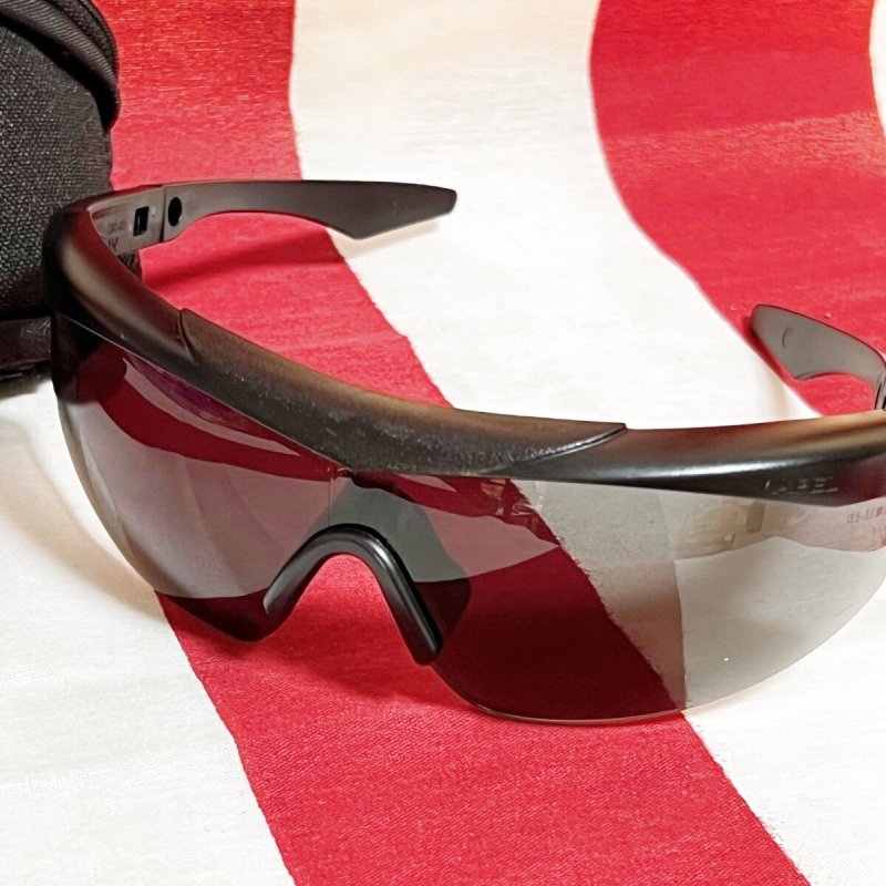 画像5: 米軍実物　WILEY-X TALON APEL サングラス スモークレンズ (5)