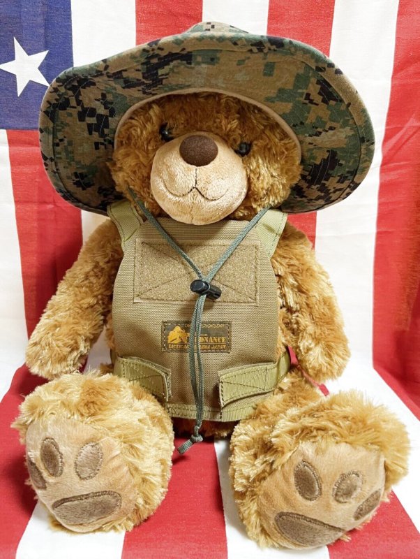 画像1: 米軍放出品 USMC 海兵隊 ミリタリー オードナンスプレキャリ着用ベアー　 (1)