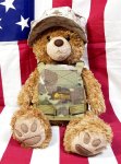 画像1: 米軍放出品 USMC 海兵隊 ミリタリー オードナンスプレキャリ着用ベアー　 (1)