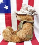 画像2: 米軍放出品 USMC 海兵隊 ミリタリー オードナンスプレキャリ着用ベアー　 (2)