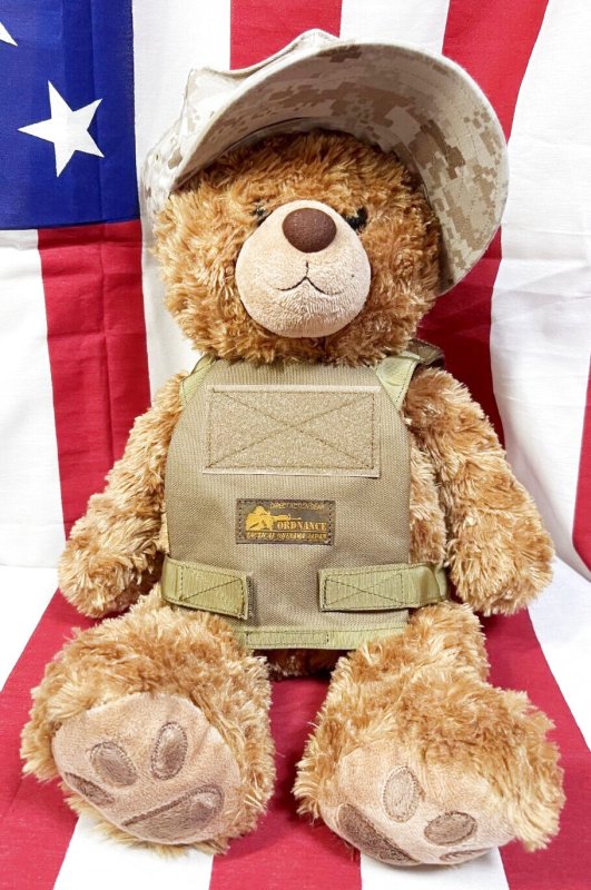 画像1: 米軍放出品 USMC 海兵隊 ミリタリー オードナンスプレキャリ着用ベアー　 (1)