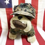 画像1: 米軍放出品 USMC 海兵隊 ミリタリー ブルドッグ (1)