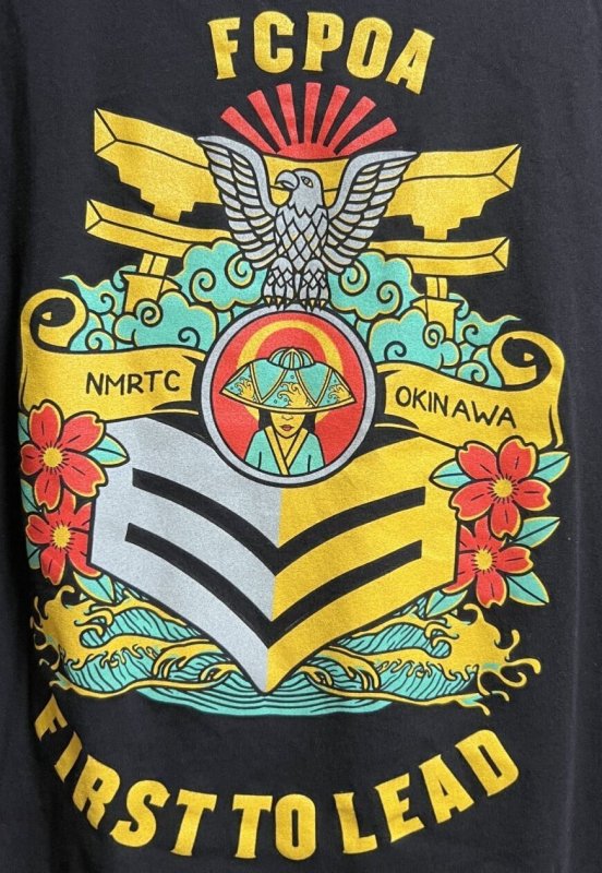画像2: 米軍放出品　US NAVY FCPOA　Tシャツ　LARGE (2)
