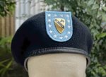 画像1: 米軍実物 米軍放出品 US ARMY 騎兵隊 ユニット ベレット デュイクレスト ベレー帽 (1)