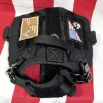 画像3: 米軍放出品 ICEFANG    K9 ドッグ ハーネス  S ブラック (3)
